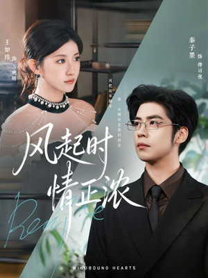 风起时情正浓(79集) 风起时情正浓(79集)短剧全集免费