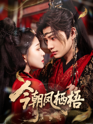 今朝凤栖梧（68集）热播短剧排行榜