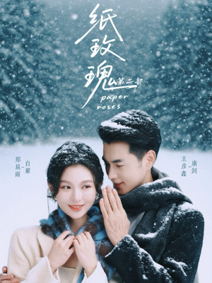 纸玫瑰第二部（80集）高分佳作免费看