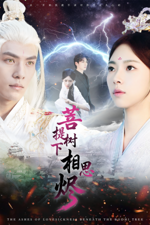 菩提树下相思烬（63集）在哪个平台看