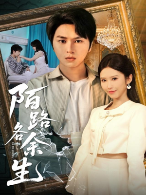 陌路各余生（65集）热门火爆短剧