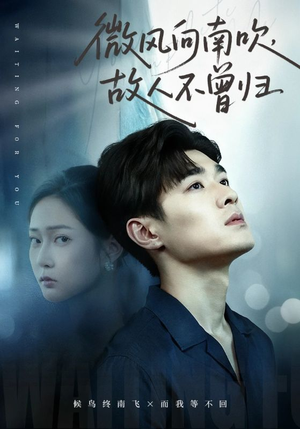 微风向南吹，故人不曾归（72集）男频短剧推荐