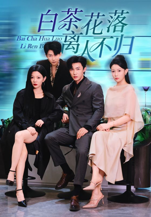 白茶花落离人（51集）免费短剧全集看