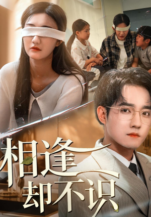 相逢却不识（77集）好看的短剧电影