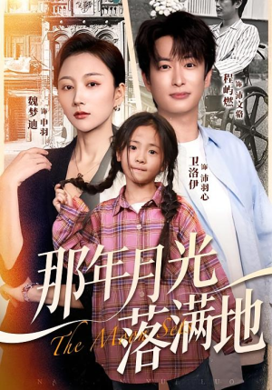 那年月光落满地（60集）80到100集