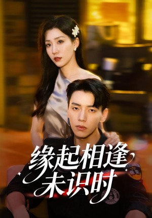 缘起相逢未识时（57集）红果短剧看全集