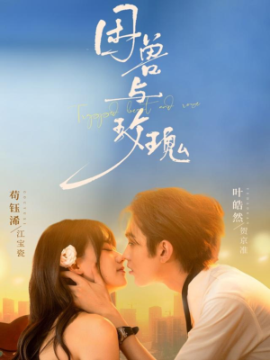 困兽与玫瑰（90集）全部免费看全集