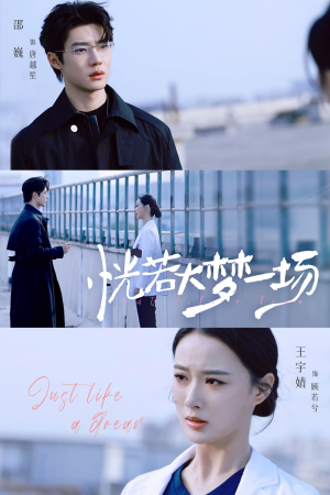恍若大梦一场（53集）全集一次看完