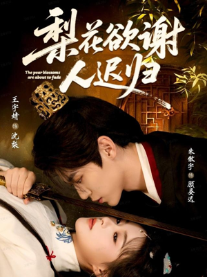 梨花欲谢人迟归（60集）短剧解说热门