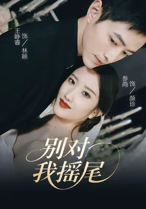 别对我摇尾（59集）高分推荐免费看