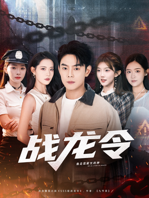 战龙令（76集）免费短剧大全