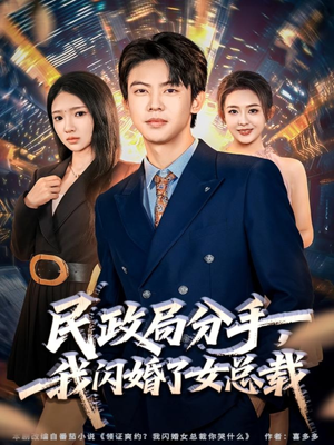 民政局分手，我闪婚了女总裁（72集）精彩短剧免费看