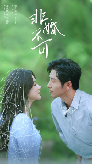 非婚不可（65集）每日短剧追不停