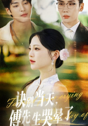 诀别当天傅先生哭晕了（62集）热门短剧推荐