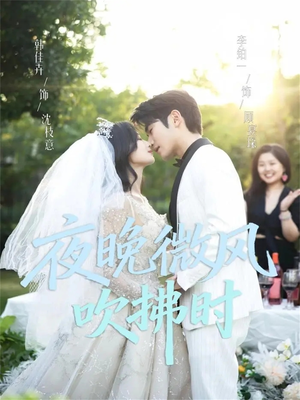 夜晚微风吹拂时（61集）男频短剧推荐