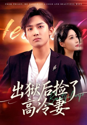 出狱后捡了高冷妻（71集）热播短剧全集看