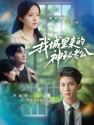 我城里来的神秘老公（30集）完整版免费观看