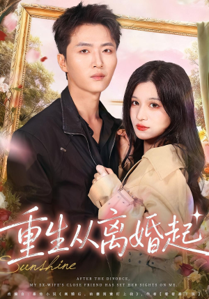 重生从离婚起（64集）一口气看完