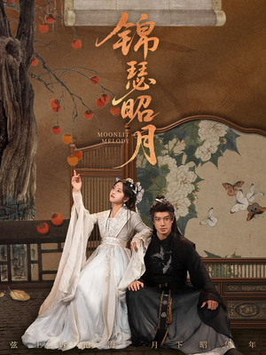 锦瑟昭月（68集）深深爱上这部剧
