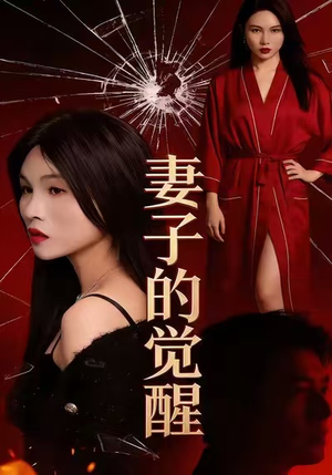 妻子的觉醒（34集）男主角是谁