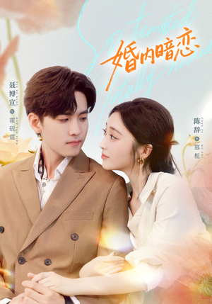 婚内暗恋(80集) 婚内暗恋(80集)第二季