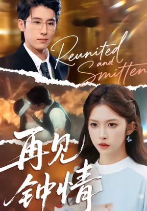 再见钟情（100集）网络小短剧