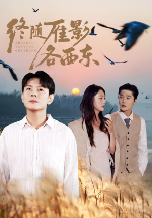 终随雁影各西东（86集）海量资源免费看