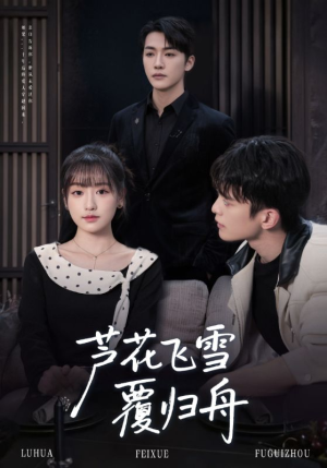 芦花飞雪覆归舟（77集）口碑之选免费看