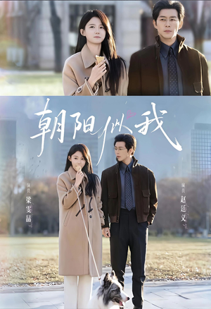 朝阳似我（81集）热播短剧来袭