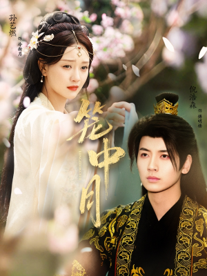 笼中月（65集）全集一次看完