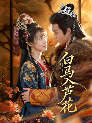 白马入芦花（59集）短剧片段推荐