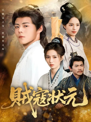 贼寇状元（81集）好看到停不下来