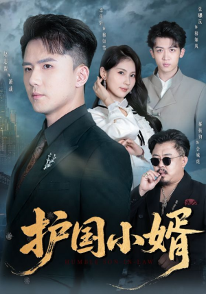 护国小婿（60集）短剧精彩片段