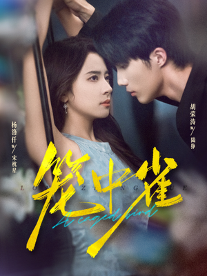 笼中雀（65集）火热短剧抢先看