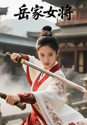 岳家女将（20集）大结局