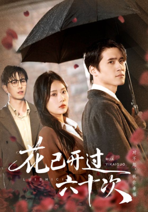 花已开过六十次（72集）独家短剧免费看