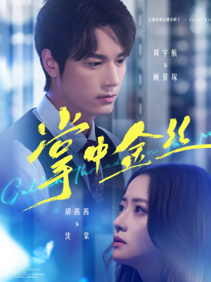 掌中金丝(60集) 掌中金丝(60集)最热短剧抢先看