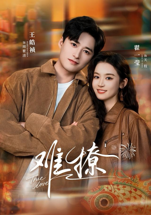 难撩(100集) 难撩(100集)男主角是谁