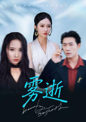 雾逝（30集）在线播放