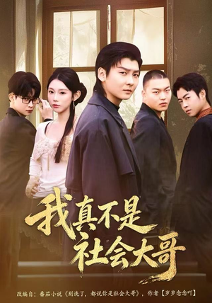 我真不是社会大哥（80集）短剧太精彩