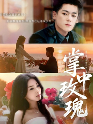 掌中玫瑰（60集）热门短剧推广