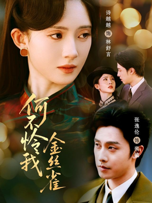 何不怜我金丝雀（60集）短视频追剧推荐