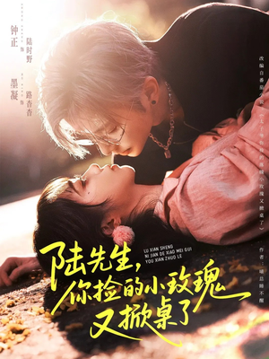 陆先生，你捡的小玫瑰又掀桌了（74集）全集完整版