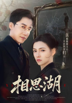 相思湖（66集）短剧解说热门