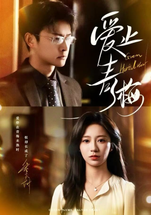 爱止青梅（60集）好看的短剧来了