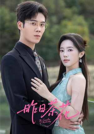 昨日茶花（56集）好短剧分享