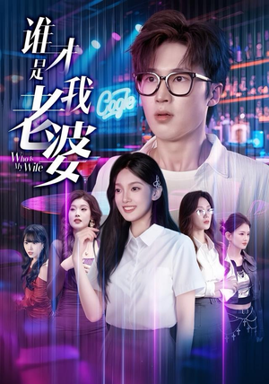 谁才是我老婆(78集) 谁才是我老婆(78集)免费观看