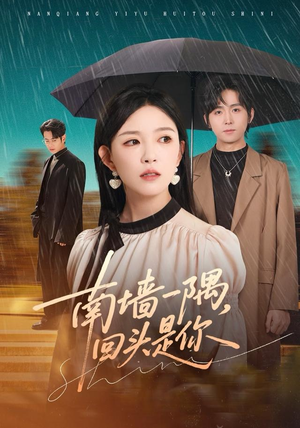 南墙一隅，回头是你（61集）超好看的短剧