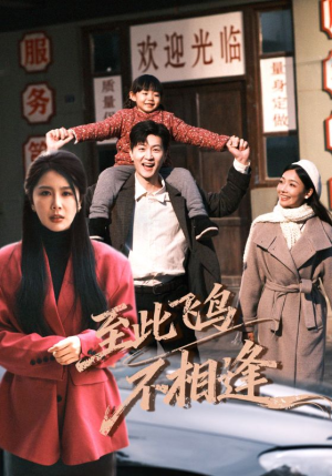 至此飞鸟不相逢（70集）好看上头的短剧