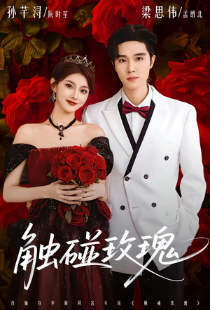 触碰玫瑰(80集) 触碰玫瑰(80集)去哪里看